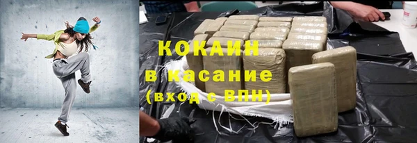 хмурый Арсеньев