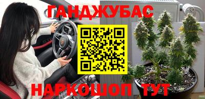 стаф Баксан