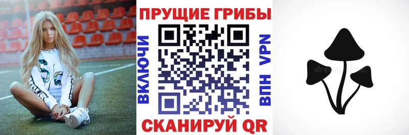 Галлюциногенные грибы Cubensis  купить закладку  Геленджик 
