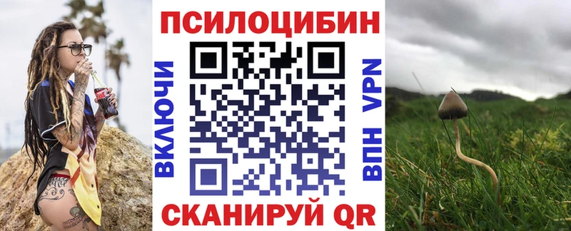Псилоцибиновые грибы GOLDEN TEACHER Геленджик