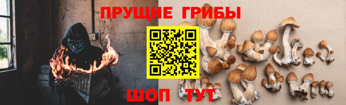 Галлюциногенные грибы Cubensis  Вход с VPN  Геленджик  что такое наркотик  Галлюциногенные грибы Psilocybe 